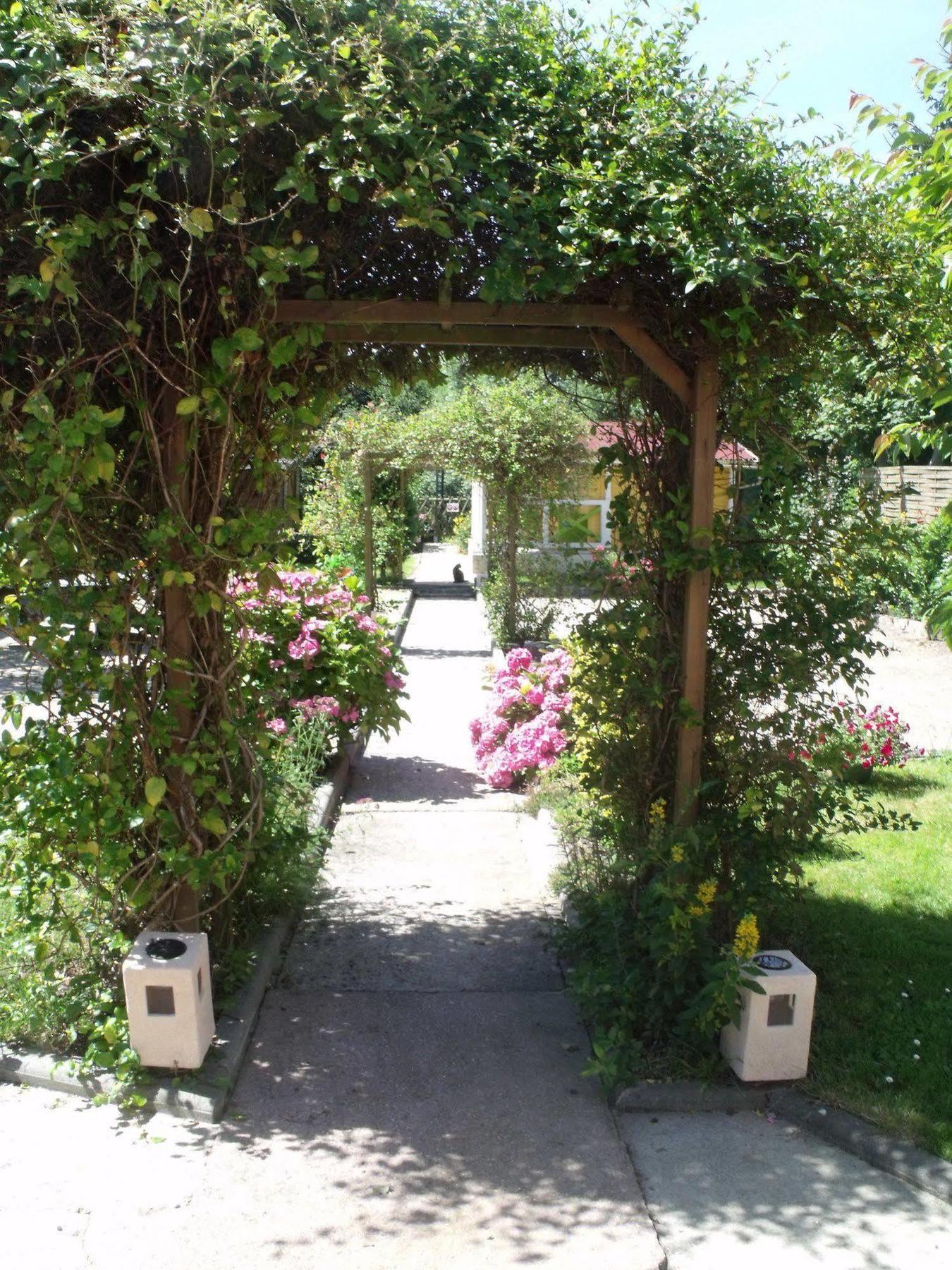 Le Clos Robinson Martin-Eglise Екстер'єр фото